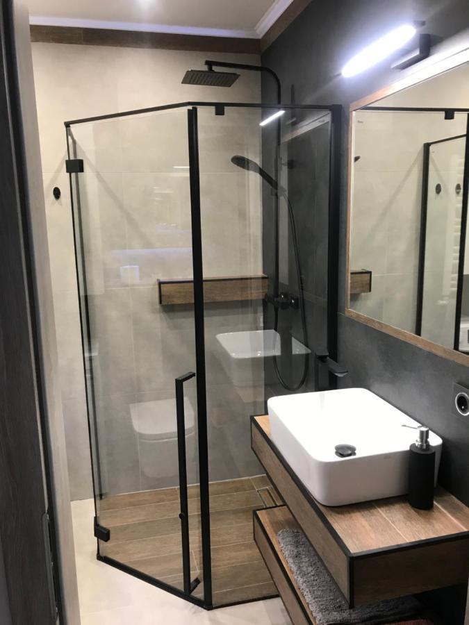 Apartament Na Skrzypka チェシン エクステリア 写真