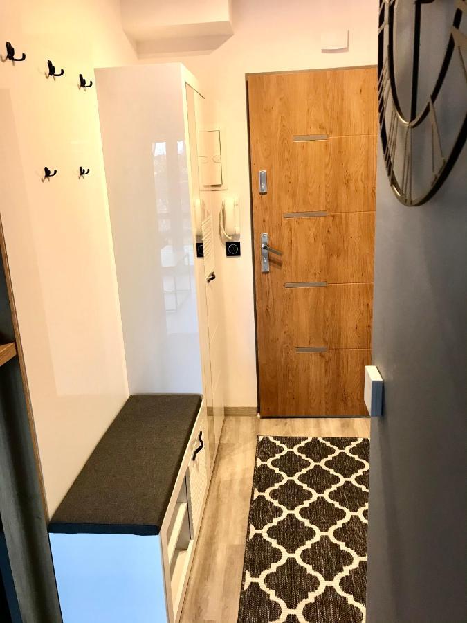 Apartament Na Skrzypka チェシン エクステリア 写真