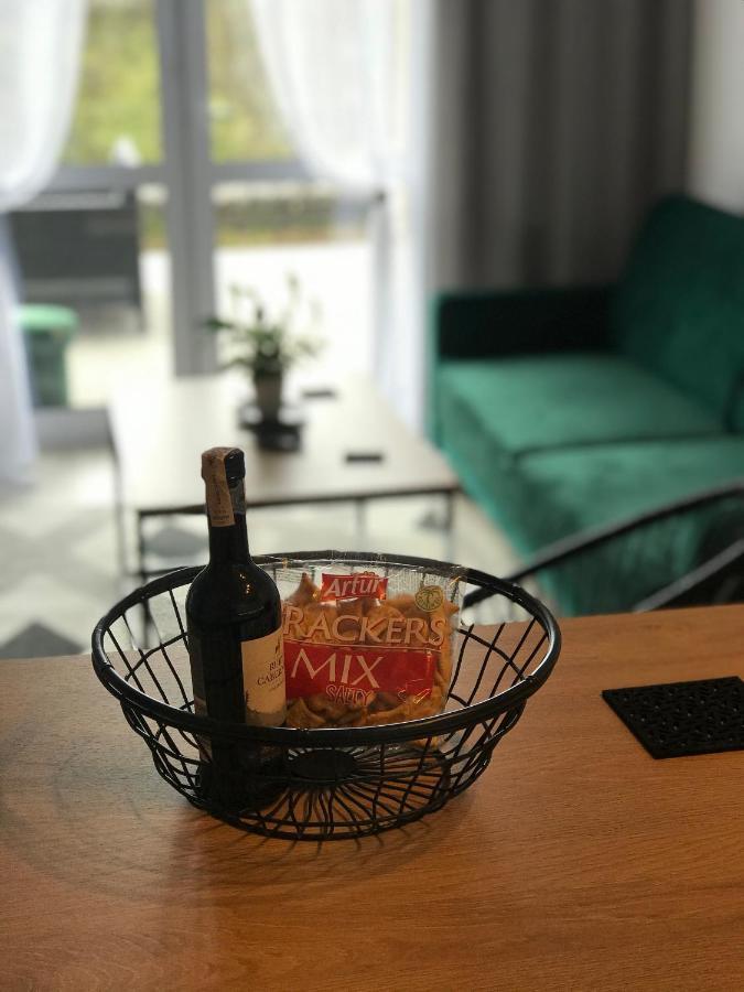 Apartament Na Skrzypka チェシン エクステリア 写真
